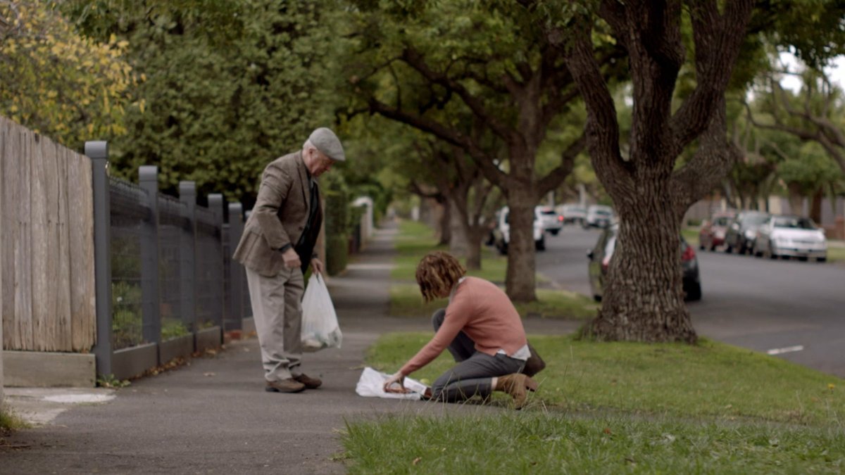 Young lady helping an old man pick up his groceries